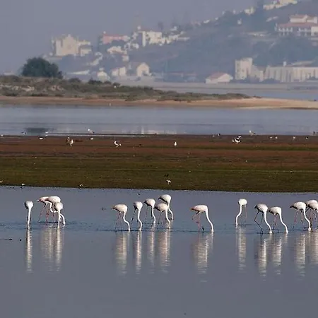 Nyaraló Serenity - Between Golf And The Sea